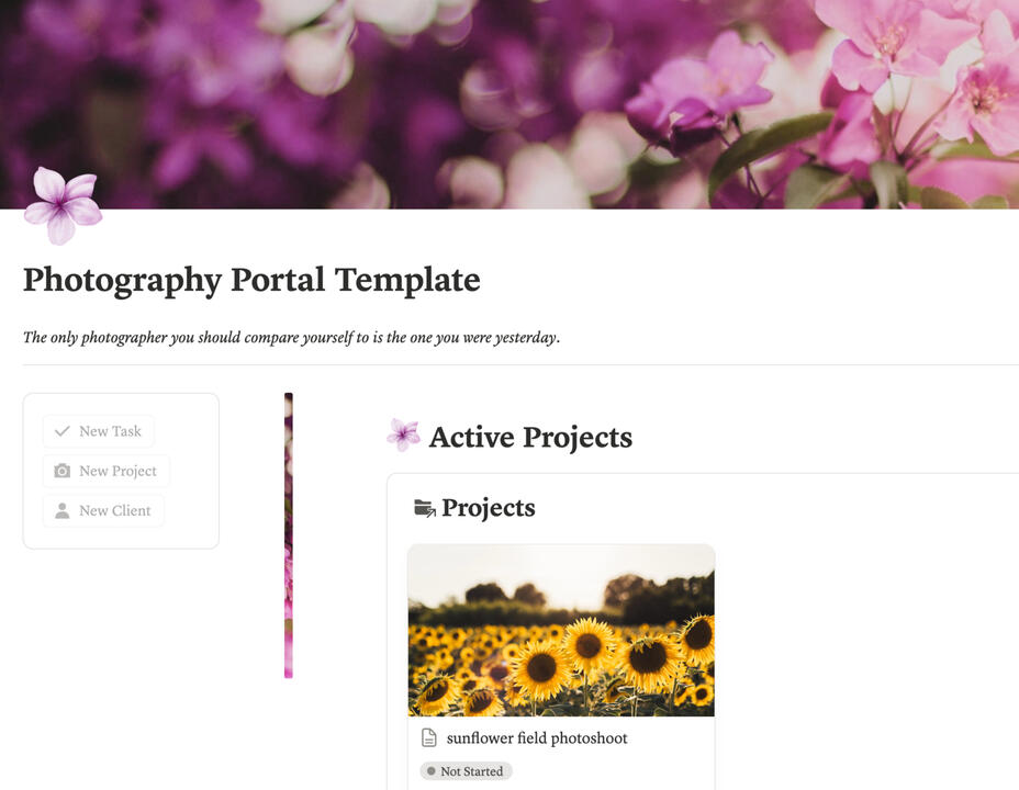 Photography Hub [Notion]